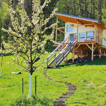 Rainbow Chalet Bran (Brasov) Exterior foto