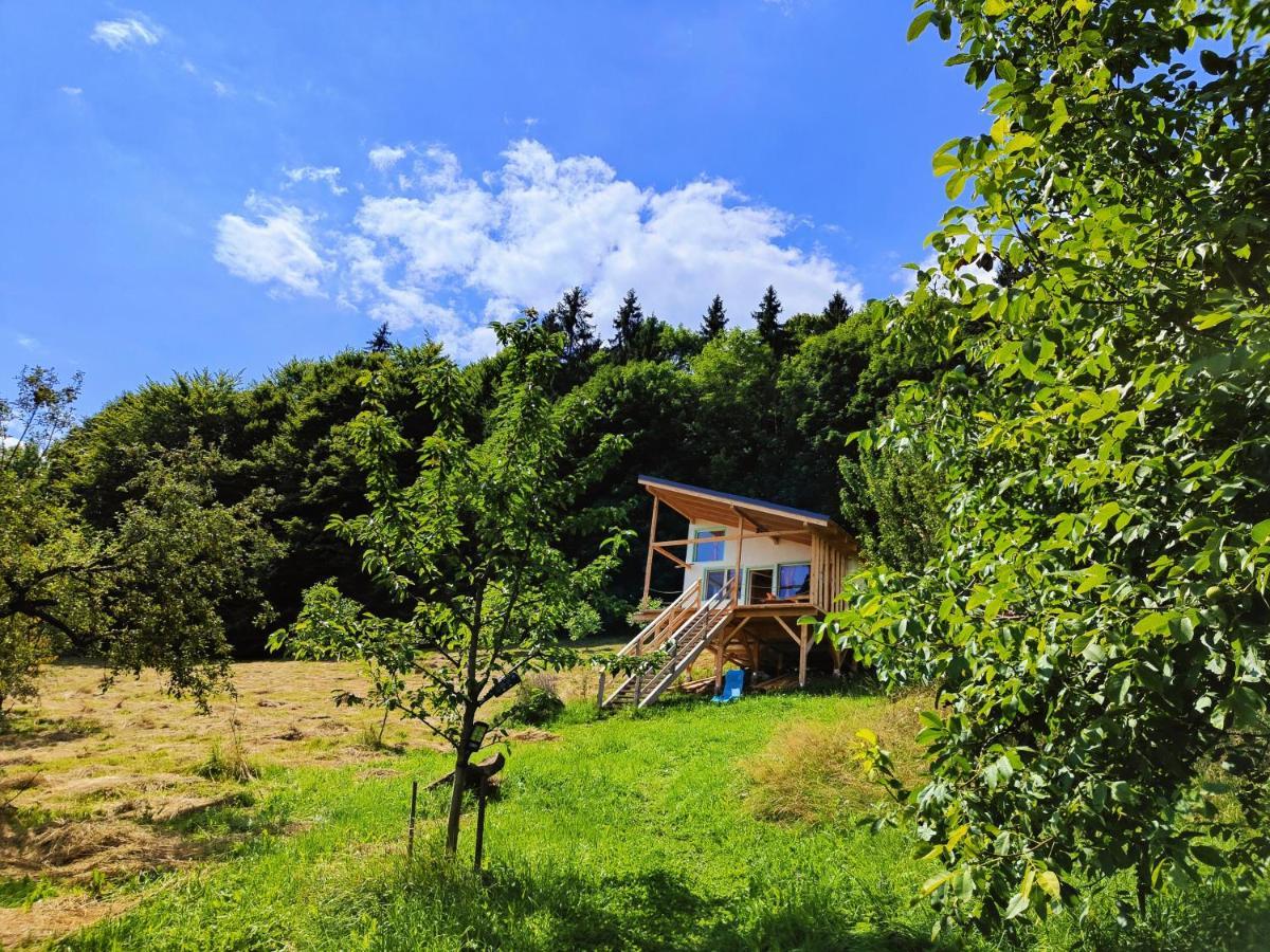 Rainbow Chalet Bran (Brasov) Exterior foto