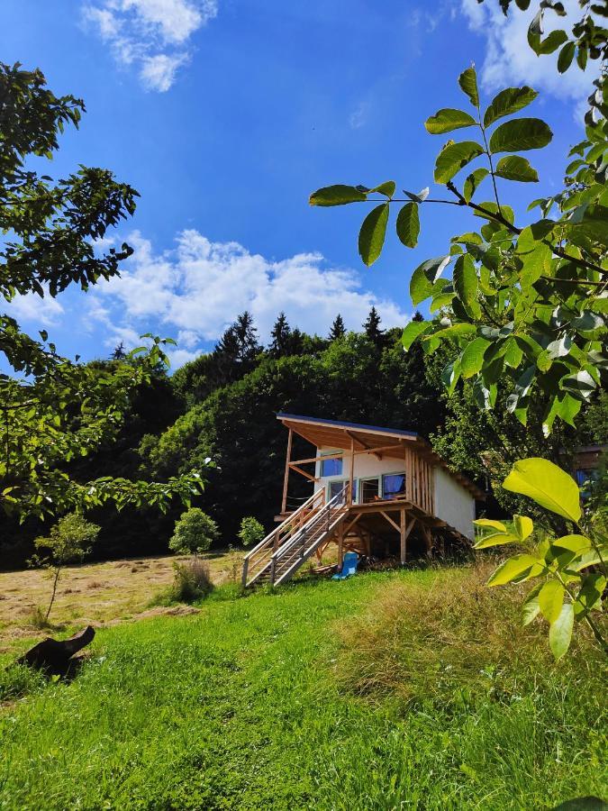 Rainbow Chalet Bran (Brasov) Exterior foto