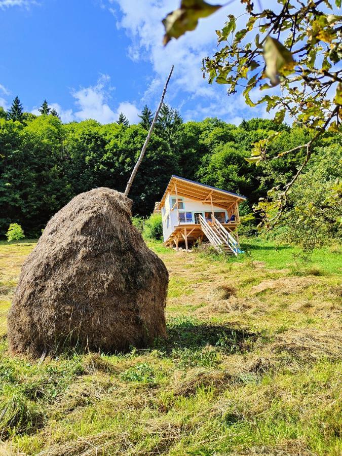 Rainbow Chalet Bran (Brasov) Exterior foto