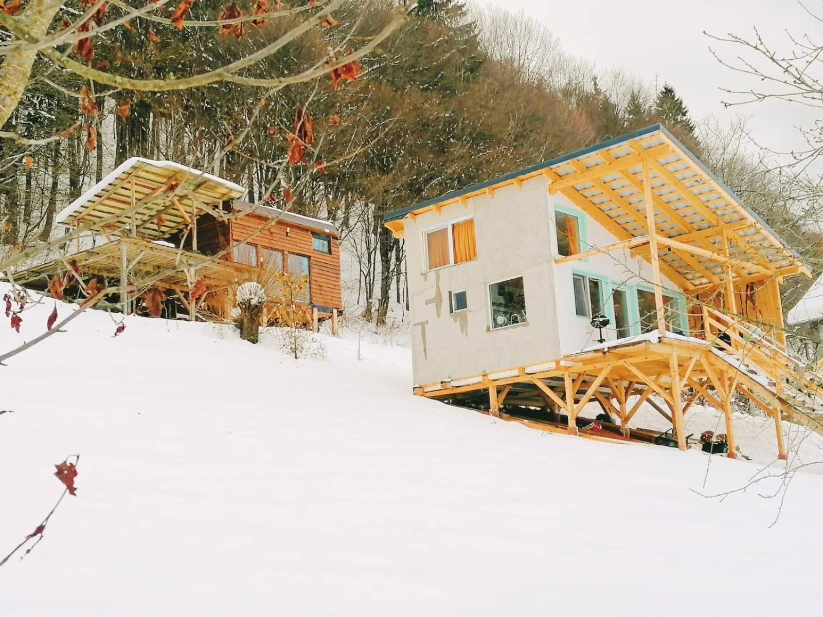 Rainbow Chalet Bran (Brasov) Exterior foto