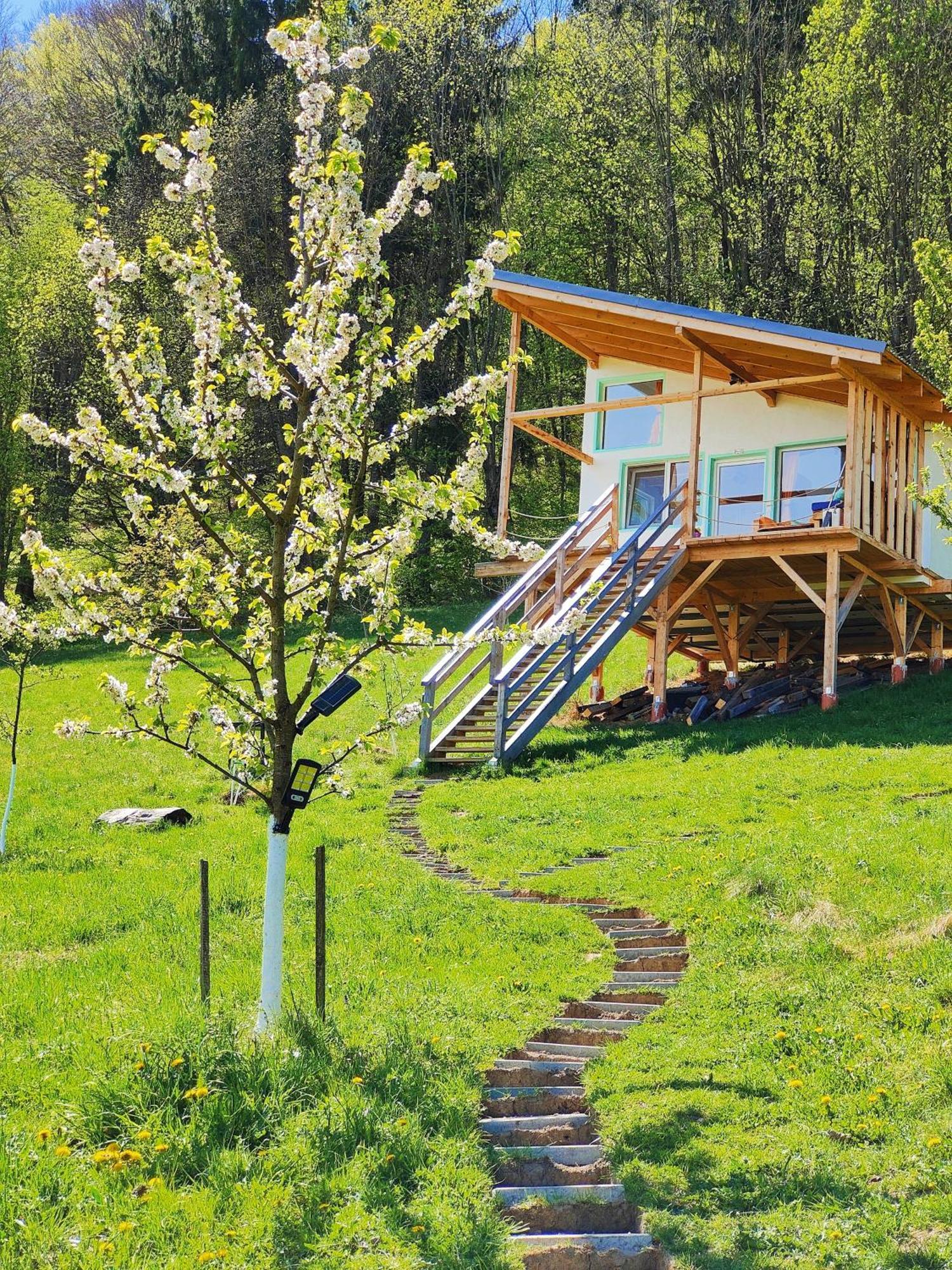 Rainbow Chalet Bran (Brasov) Exterior foto